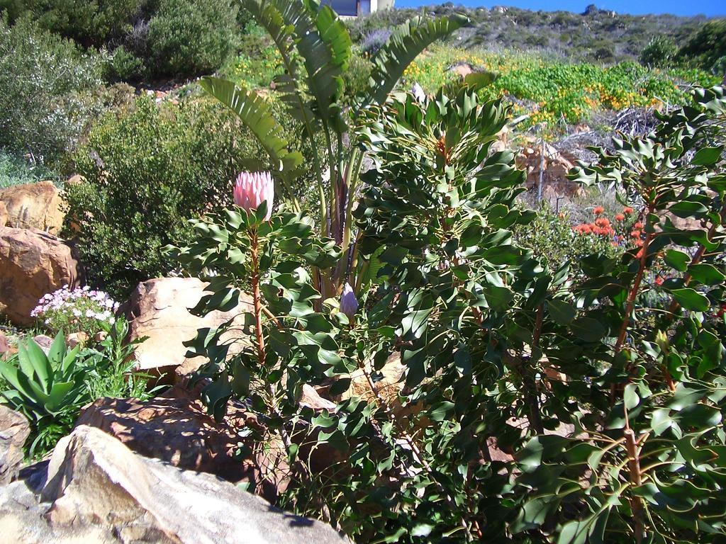 A Place In Thyme Vishoek Buitenkant foto